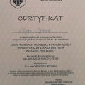 Powiększ obraz: certificate 15
