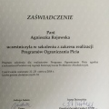 Powiększ obraz: certificate 8