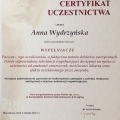 Powiększ obraz: certificate 8