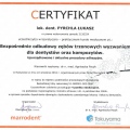 Powiększ obraz: certificate 1