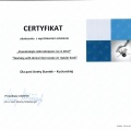 Powiększ obraz: certificate 11