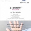Powiększ obraz: certificate 7