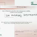 Powiększ obraz: certificate 3