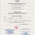 Powiększ obraz: certificate 3
