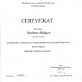 Powiększ obraz: certificate 1