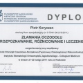 Powiększ obraz: certificate 2