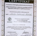 Powiększ obraz: certificate 26