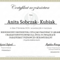Powiększ obraz: certificate 5
