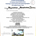 Powiększ obraz: certificate 6