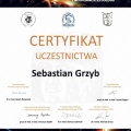Powiększ obraz: certificate 17