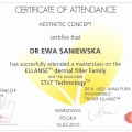 Powiększ obraz: certificate 12