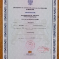 Powiększ obraz: certificate 1