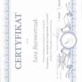Powiększ obraz: certificate 5
