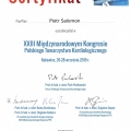 Powiększ obraz: certificate 4