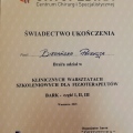 Powiększ obraz: certificate 8