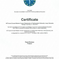Powiększ obraz: certificate 2