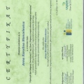 Powiększ obraz: certificate 4