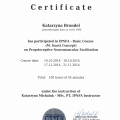 Powiększ obraz: certificate 4