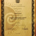 Powiększ obraz: certificate 8