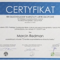 Powiększ obraz: certificate 28