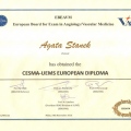 Powiększ obraz: certificate 1