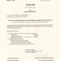 Powiększ obraz: certificate 2