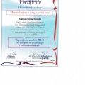 Powiększ obraz: certificate 3