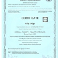 Powiększ obraz: certificate 5