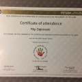 Powiększ obraz: certificate 7