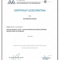 Powiększ obraz: certificate 27