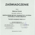 Powiększ obraz: certificate 10