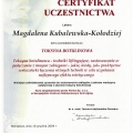 Powiększ obraz: certificate 13