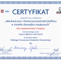 Powiększ obraz: certificate 3