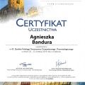 Powiększ obraz: certificate 8