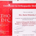Powiększ obraz: certificate 8