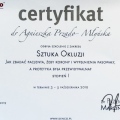 Powiększ obraz: certificate 16