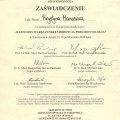 Powiększ obraz: certificate 13