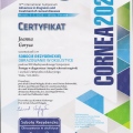 Powiększ obraz: certificate 9