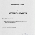 Powiększ obraz: certificate 23