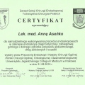Powiększ obraz: certificate 4