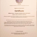 Powiększ obraz: certificate 6