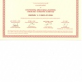 Powiększ obraz: certificate 1