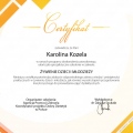 Powiększ obraz: certificate 21