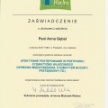 Powiększ obraz: certificate 2