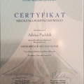 Powiększ obraz: certificate 4
