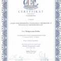 Powiększ obraz: certificate 6