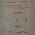 Powiększ obraz: certificate 6