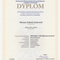 Powiększ obraz: certificate 1