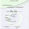 Powiększ obraz: certificate 9