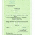 Powiększ obraz: certificate 2